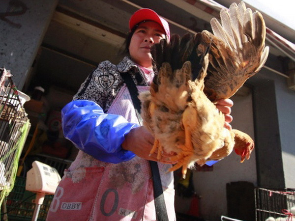 Canada phát hiện ca nhiễm cúm gia cầm H7N9 đầu tiên tại Bắc Mỹ ảnh 1