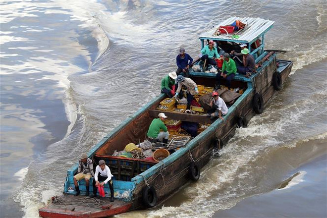 Tàu vận chuyển thủy sản về Cảng cá Tắc Cậu, huyện Châu Thành, Kiên Giang. (Ảnh: Lê Sen/TTXVN) Kiên Giang: Kim ngạch xuất khẩu 7 tháng đạt hơn 500 triệu USD ảnh 2