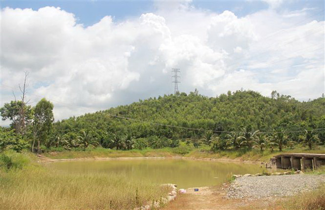 Cựu chiến binh có hai bằng Đại học, phát triển trang trại tiền tỷ ảnh 2