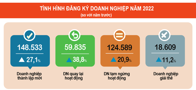 Cả nước có 208 nghìn doanh nghiệp gia nhập thị trường trong năm 2022 ảnh 1