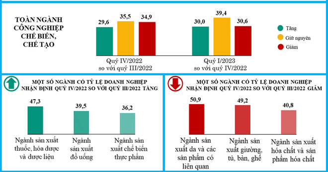 Cả nước có 208 nghìn doanh nghiệp gia nhập thị trường trong năm 2022 ảnh 2