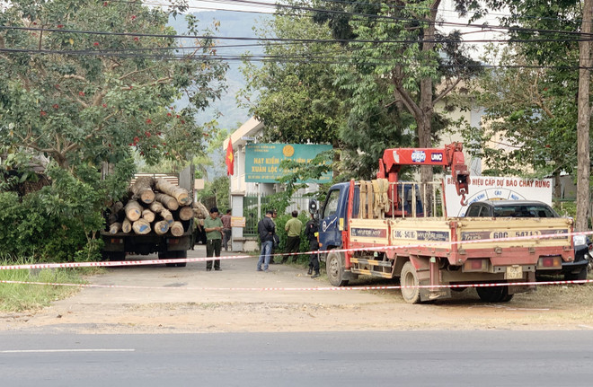 Đồng Nai: Khởi tố vụ án hình sự về hành vi chặt phá rừng phòng hộ ảnh 1