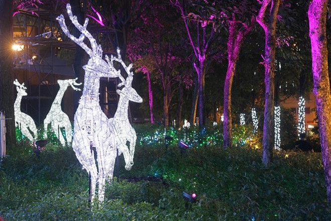 Sắc màu cổ tích ở Lễ hội đường phố Giáng sinh tại Singapore ảnh 2