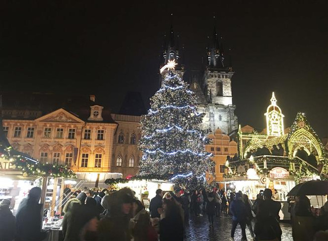 Cá chép - Biểu tượng mang may mắn cho người Séc dịp Giáng sinh ảnh 2