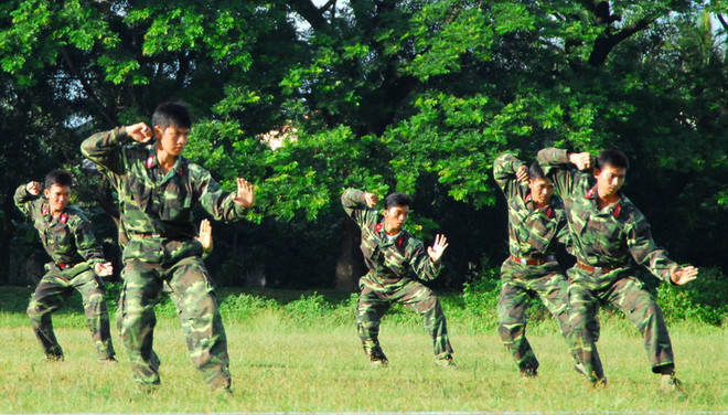 Triển khai Luật Quân nhân chuyên nghiệp, công nhân và viên chức ảnh 1