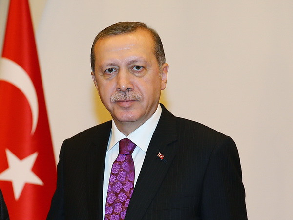 Thổ Nhĩ Kỳ bắt giữ một nghi can khủng bố gần Dinh Tổng thống ảnh 1