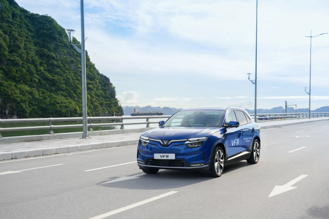 Chủ tịch Vingroup thành lập công ty cho thuê xe và taxi điện VinFast ảnh 1