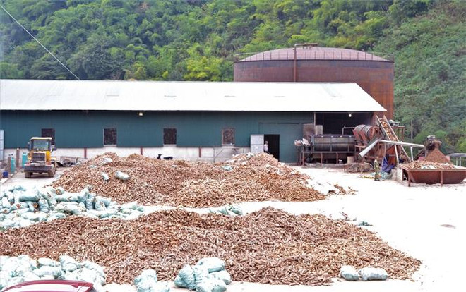 Tạm đình chỉ hoạt động nhà máy chế biến sắn ở Điện Biên ảnh 1
