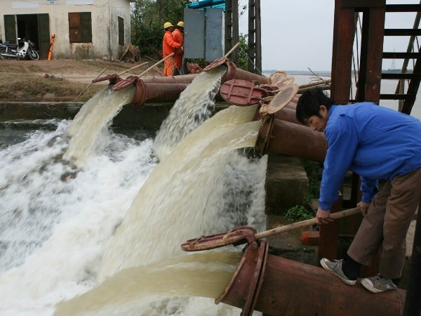 Ba yếu tố cốt yếu cho tương lai phát triển bền vững ảnh 1