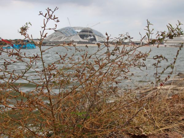 Singapore trải qua tháng khô hạn nhất kể từ năm 1869 ảnh 1