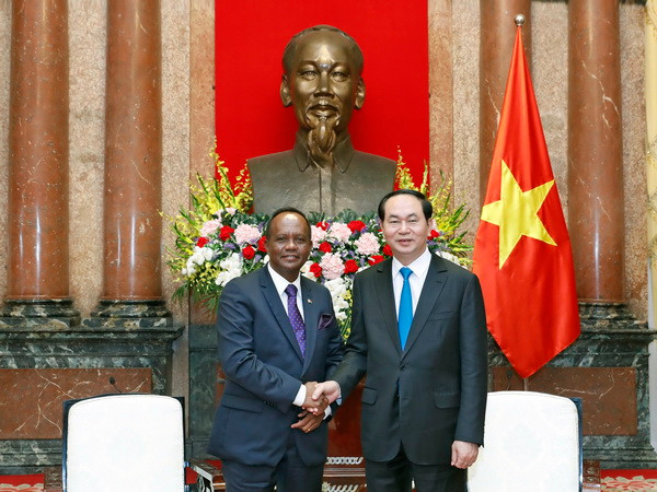 Chủ tịch nước Trần Đại Quang tiếp Bộ trưởng Phủ Tổng thống Madagascar ảnh 1