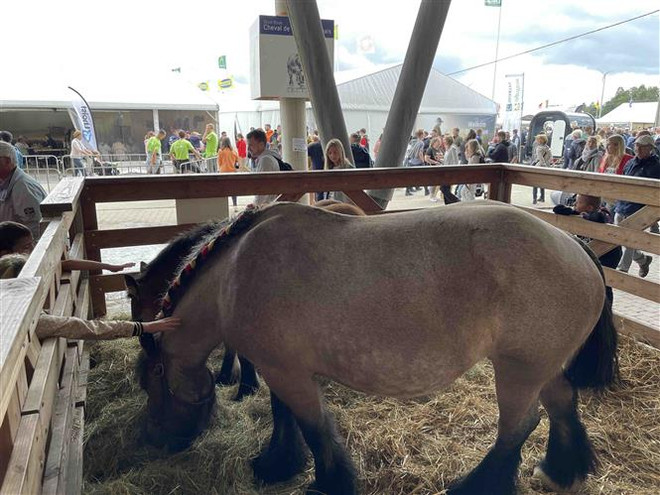 Hội chợ Libramont tại Bỉ tìm giải pháp cho nông nghiệp bền vững ảnh 1