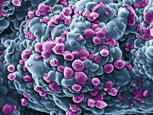 Một nửa dân số ở Xứ sở Sương mù có nguy cơ mắc bệnh ung thư ảnh 1