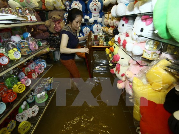 7.420 tỷ đồng quy hoạch thủy lợi chống ngập úng cho Cần Thơ ảnh 1