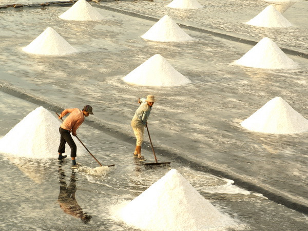 Giá muối tại Phú Yên cao gấp 2 lần nhưng không hàng để bán ảnh 1