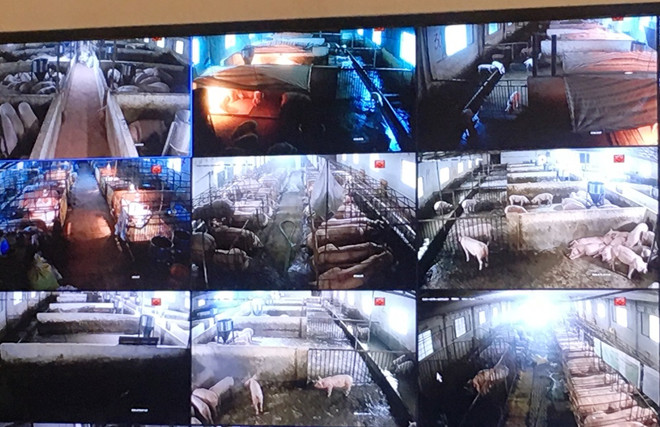 Bài 4: Tư duy khoa học giúp người dân làm giàu bằng nghề nông ảnh 2