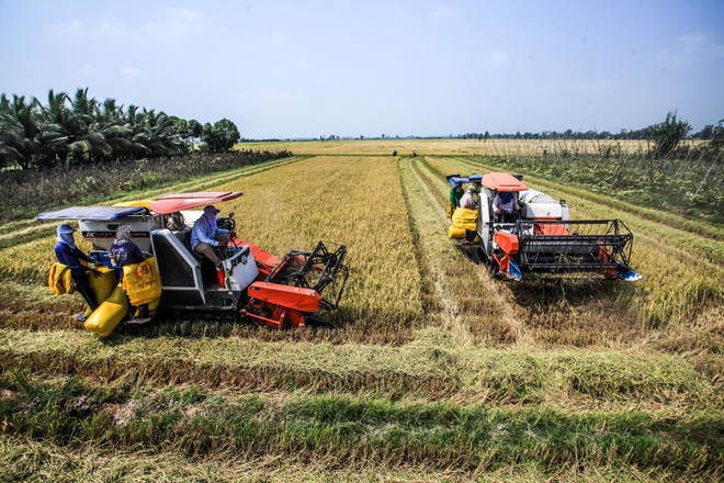 Trong bối cảnh đó, nhiệm vụ đặt ra tiếp tục thực hiện linh hoạt, hiệu quả “mục tiêu kép”-vừa phòng, chống đại dịch COVID-19, vừa phục hồi và phát triển kinh tế-xã hội trong trạng thái bình thường mới. (Ảnh minh họa/TTXVN) Bộ trưởng Bộ Tài chính: Lấy tăng trưởng làm gốc nuôi dưỡng nguồn thu ảnh 2