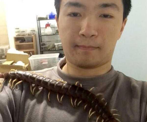 Rợn tóc gáy trước cảnh nam sinh viên sống cùng rết độc dài 40cm ảnh 1