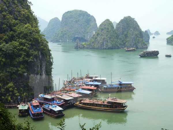 Quảng Ninh tạm dừng đón khách tại hang Đầu Gỗ trên Vịnh Hạ Long ảnh 1