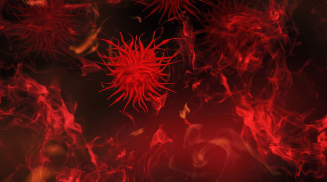 Cuba xác nhận bệnh nhân mắc bệnh đậu mùa khỉ đầu tiên đã tử vong ảnh 1