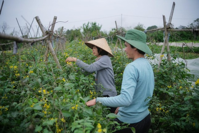 Nông nghiệp sinh thái - hướng phát triển bền vững cho tương lai ảnh 3