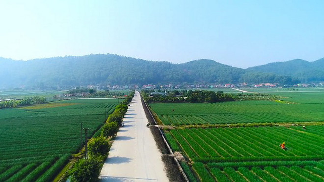 Nông nghiệp sinh thái - hướng phát triển bền vững cho tương lai ảnh 1