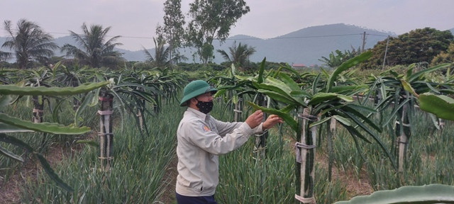 Nông nghiệp sinh thái - hướng phát triển bền vững cho tương lai ảnh 2