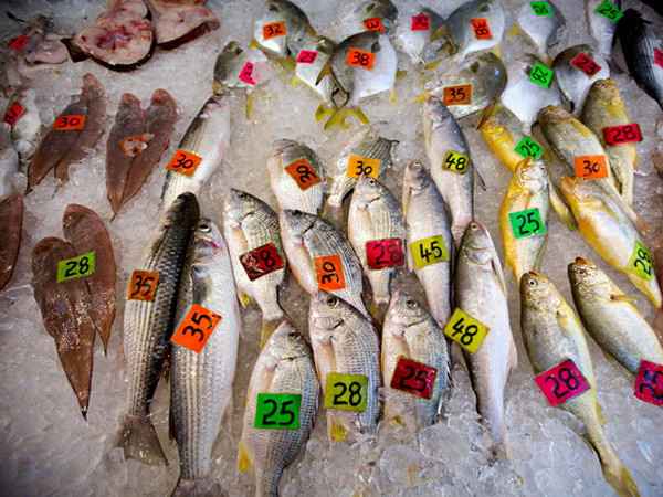 Hàn Quốc-Nga đạt thỏa thuận hạn ngạch đánh bắt cá ảnh 1