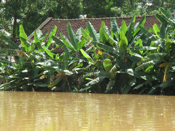 Miền núi, trung du phía Bắc khẩn trương ứng phó với mưa lũ ảnh 1