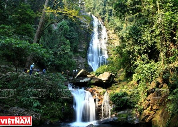 Khám phá vẻ đẹp Khu Dự trữ Sinh quyển lớn nhất Việt Nam ảnh 1