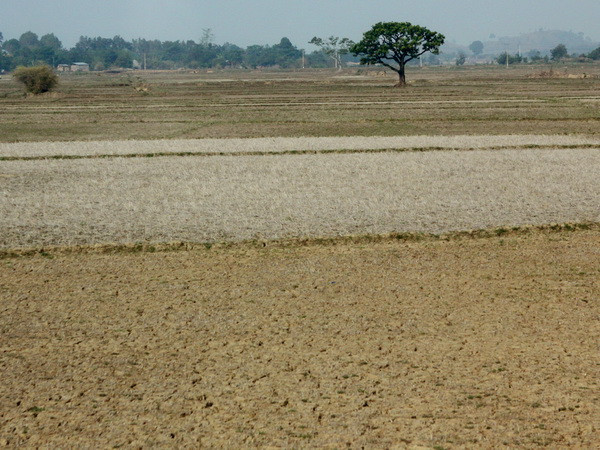 Cứu trợ khẩn cấp người dân 4 tỉnh miền Trung bị hạn hán ảnh 1