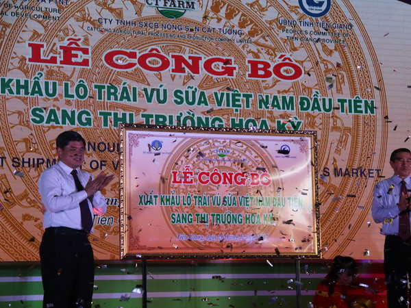 Kiểm soát chặt chất lượng trái vú sữa xuất khẩu sang thị trường Mỹ ảnh 1