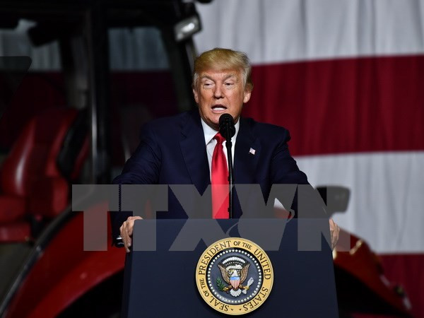 Tổng thống Mỹ Donald Trump mở cuộc điều tra gian lận bầu cử ảnh 1