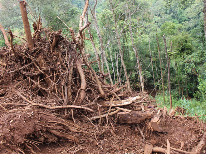 Hà Giang: Tổn thất tài nguyên rừng, ô nhiễm tăng vì khai thác mỏ ảnh 2