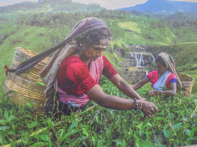 Bỉ tổ chức chương trình triển lãm ảnh ngoài trời lớn nhất châu Âu ảnh 1