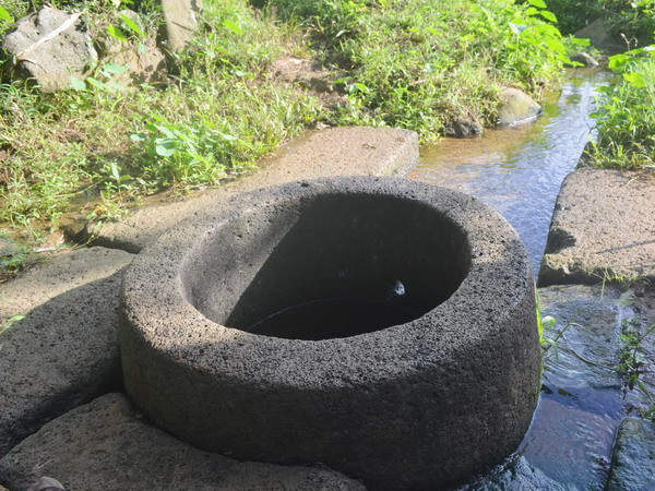 Thanh Hóa: Lần đầu phát hiện giếng cổ mang dấu ấn văn hóa Chăm Pa ảnh 1