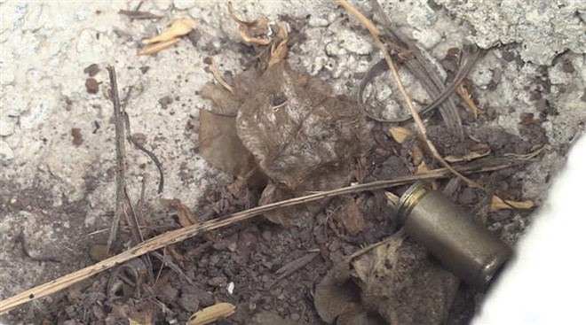 Nam Định: Tạm đình chỉ Phó trưởng Công an xã liên quan đến vụ nổ súng ảnh 1