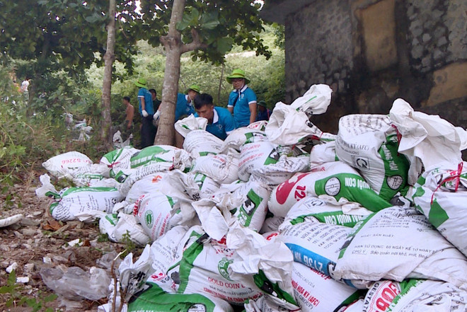 Đảo đá Long Châu rực rỡ muôn sắc hoa giữa biển khơi Tổ quốc ảnh 2