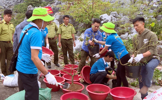 Đảo đá Long Châu rực rỡ muôn sắc hoa giữa biển khơi Tổ quốc ảnh 1