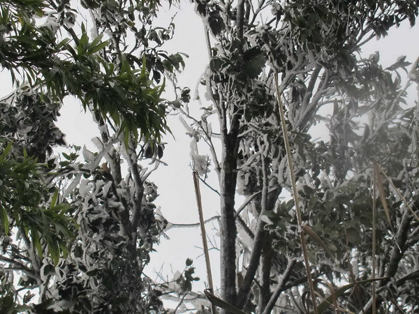 Một đợt không khí lạnh mới lại xuất hiện ở khu vực phía Bắc ảnh 1