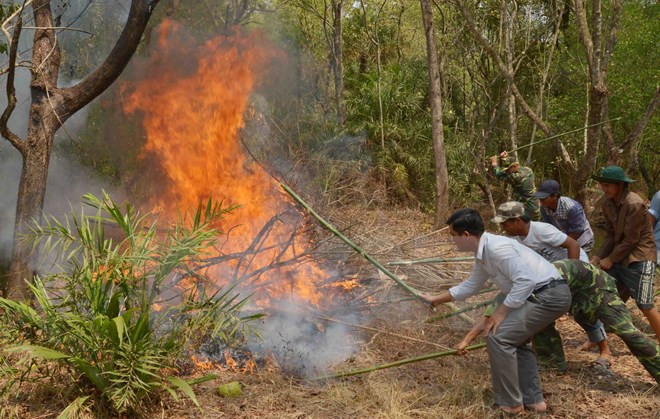 Nam Định: Cháy rừng tại núi Gôi, thiêu rụi toàn bộ thảm thực vật ảnh 1