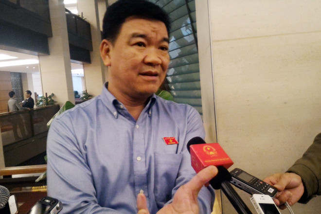 Đại biểu Quốc hội: Nhà nước không hỗ trợ vốn mà hỗ trợ về chính sách ảnh 1