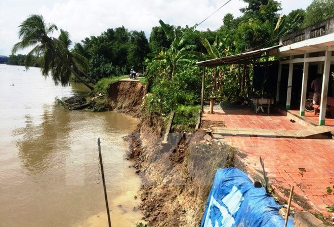 Bộ Tài nguyên đề nghị tạm dừng xây dựng dự án Công viên trái cây ảnh 1