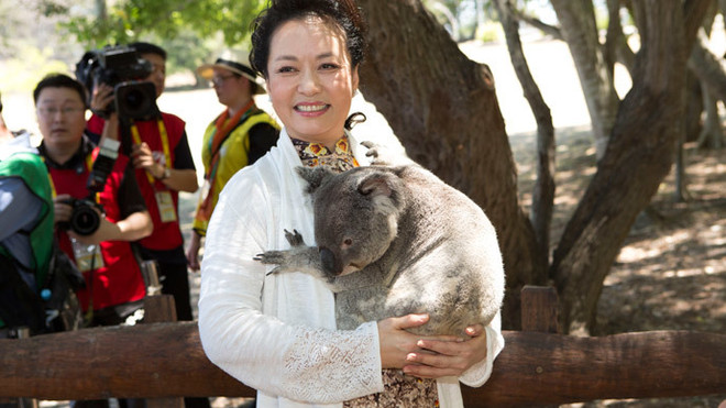 Ông Putin, bà Tập Cận Bình chụp ảnh lưu niệm cùng gấu Koala ảnh 1