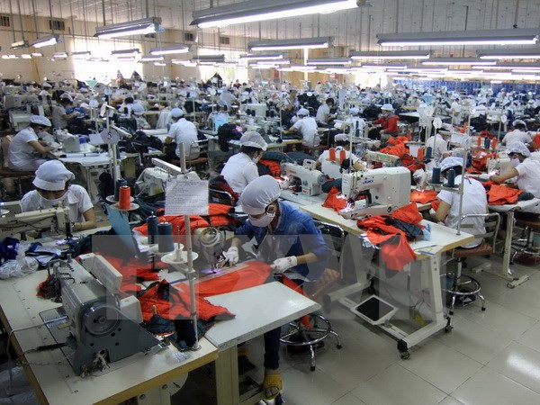 Bài 5: “Dung túng cho hàng giả là phá hoại thương hiệu quốc gia" ảnh 1