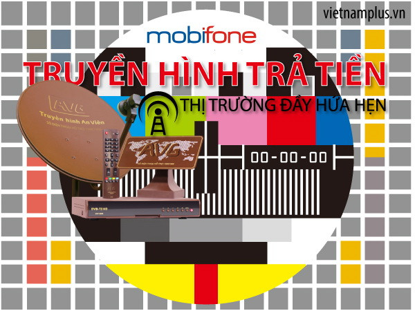 Mạng MobiFone mua AVG để gia nhập thị trường truyền hình ảnh 1