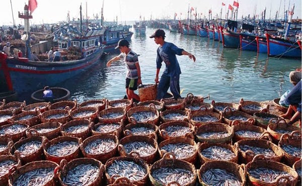 Tiền Giang thực hiện tốt các khuyến nghị của EC về phòng, chống IUU ảnh 1
