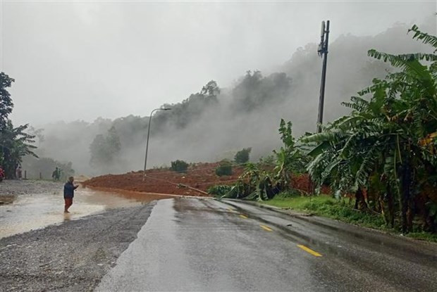 Lâm Đồng: Tổng kiểm tra các điểm kinh doanh trên triền dốc ở Đà Lạt ảnh 1