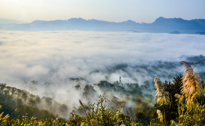 [Photo] Ngắm nhìn biển mây thơ mộng trên đèo Tằng Quái ảnh 1