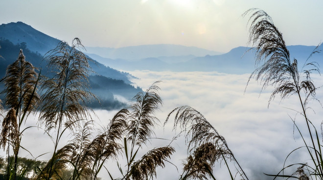 [Photo] Ngắm nhìn biển mây thơ mộng trên đèo Tằng Quái ảnh 2